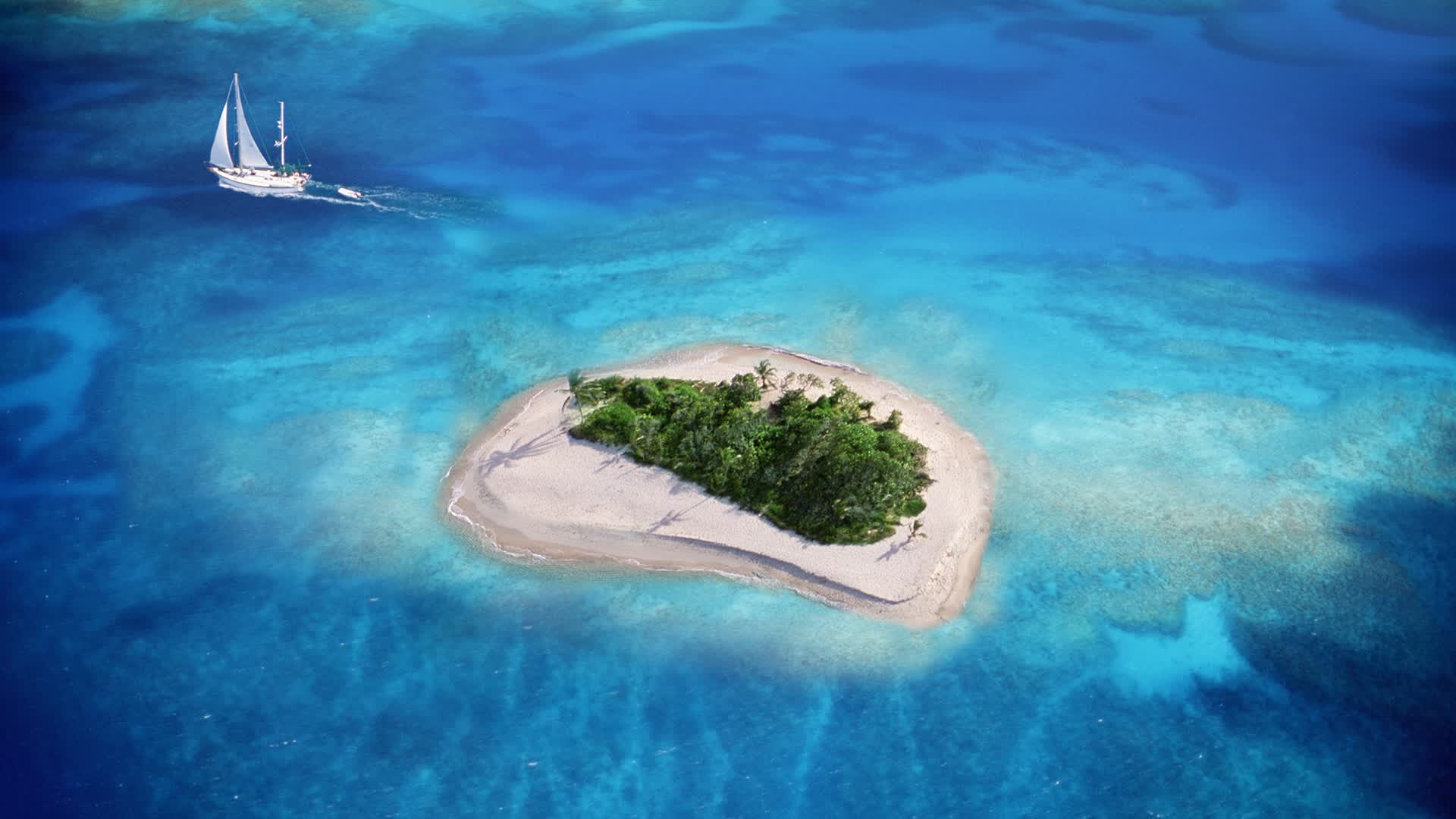世界游泳线上课堂优秀课程评选与获奖名单公布，线上游泳比赛
